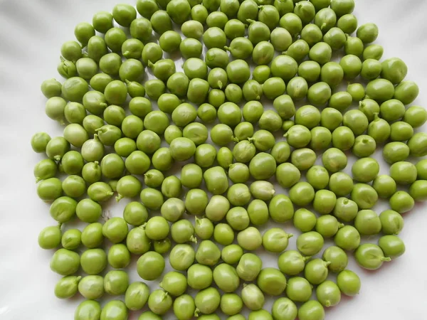 cumped out peas of the shalerbse small rhine country (pisum sativum)