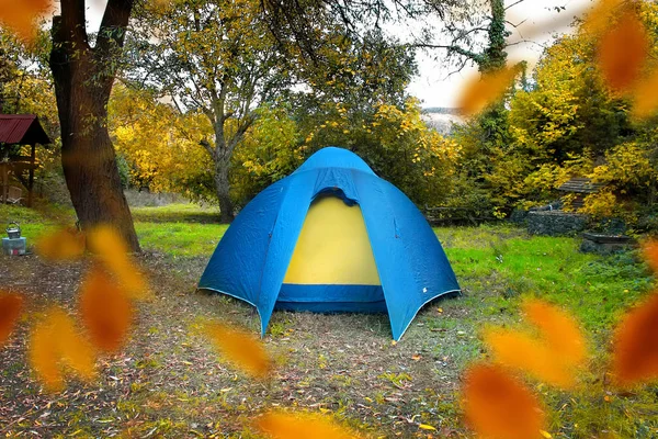 Tenda Azul Única Floresta Colorida — Fotografia de Stock