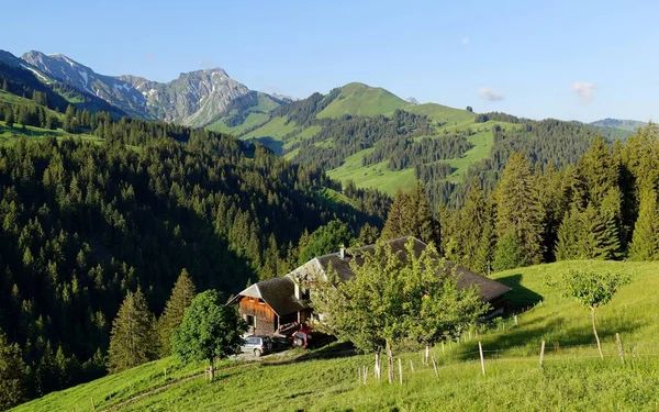 スイスのベルネーズ オバーランドの豊かな地域の山の上にあるアルプス — ストック写真