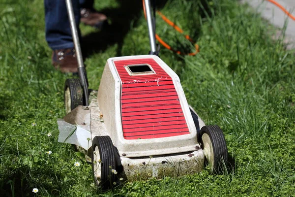 Memotong Rumput Dengan Pemotong Listrik — Stok Foto