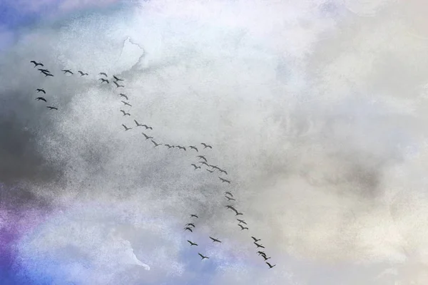 birds (cranes) on the flight in formation. photo collage,texture,concept,background,nature,bird migration,phenomenon,migratory birds,sky,travel,grief,grief,memory,narrative.