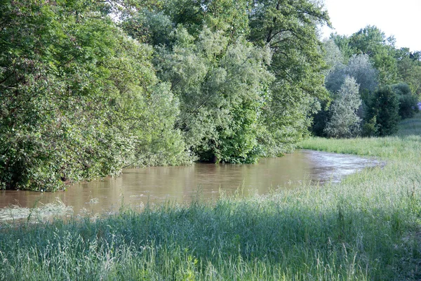 River Leads Brown Flood Countryside Spring Day — Stock Photo, Image