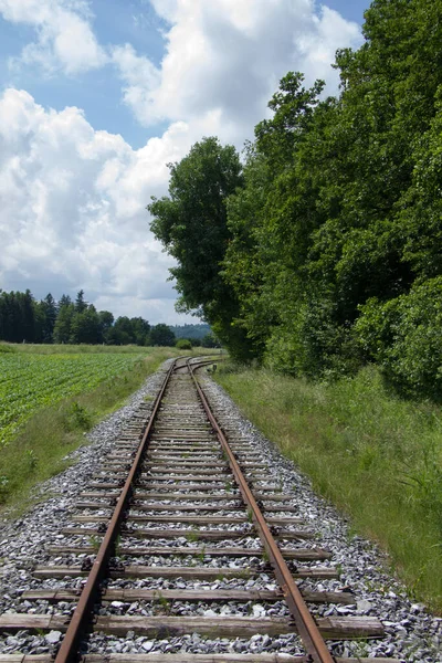 Las Vías Férreas Conducen Través Del Paisaje Hierba Paisaje Forestal — Foto de Stock