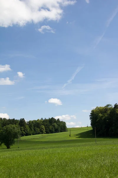 森の風景と牧草地の風景青い空に雲と水平線がいくつかある春の日 — ストック写真