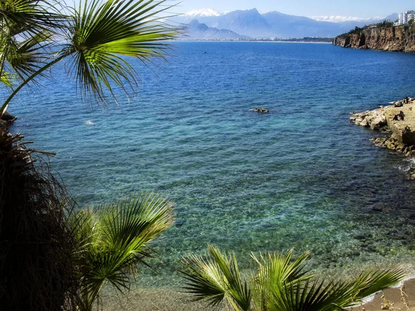 Türkiye Nin Antalya Kentinde Palmiye Ağacı Temiz Mavi Suyla Akdeniz — Stok fotoğraf