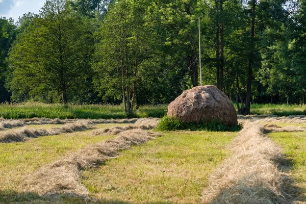 Spreewald Biosfera Reserva Região Férias Haystacks Tradicionais — Fotografia de Stock