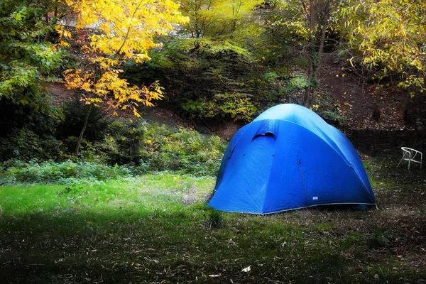 Ein Einziges Blaues Zelt Bunten Wald — Stockfoto