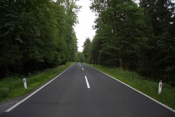 Dry Asphalted Road Curve Vehicles Forest Spring Day — Stock Photo, Image