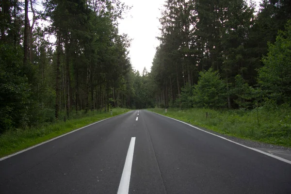 Ruta Asfaltada Seca Con Curva Sin Vehículos Través Bosque Primavera —  Fotos de Stock