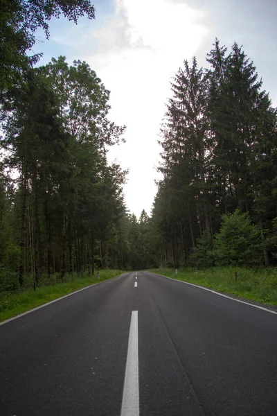 Strada Asfaltata Asciutta Con Curva Senza Veicoli Attraverso Una Foresta — Foto Stock