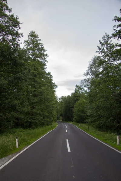 Strada Asfaltata Asciutta Con Curva Senza Veicoli Attraverso Una Foresta — Foto Stock