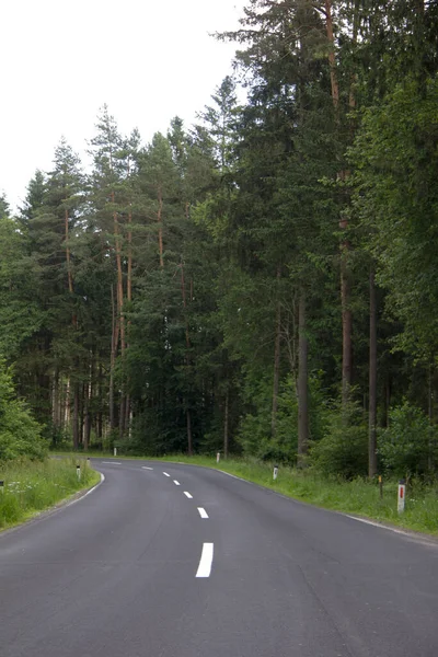 Dry Asphalted Road Curve Vehicles Forest Spring Day — Stock Photo, Image