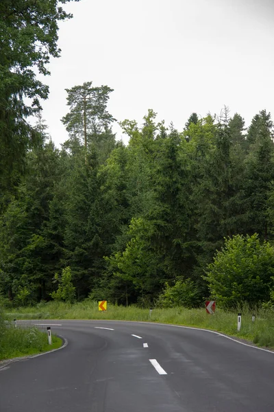 Strada Asfaltata Asciutta Con Curva Senza Veicoli Attraverso Una Foresta — Foto Stock