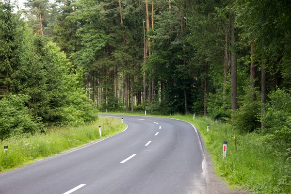 Estrada Asfaltada Seca Com Curva Sem Veículos Através Uma Floresta — Fotografia de Stock