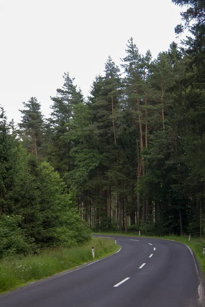 Strada Asfaltata Asciutta Con Curva Senza Veicoli Attraverso Una Foresta — Foto Stock