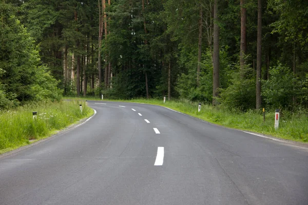 dry asphalted road with curve without vehicles through a forest in spring at day