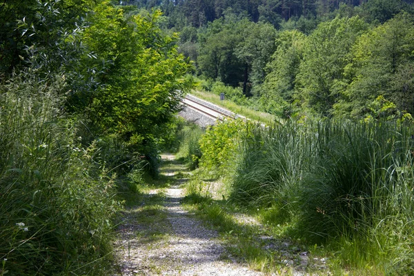 Strada Sterrata Con Binari Ferroviari Sullo Sfondo Una Foresta Primavera — Foto Stock