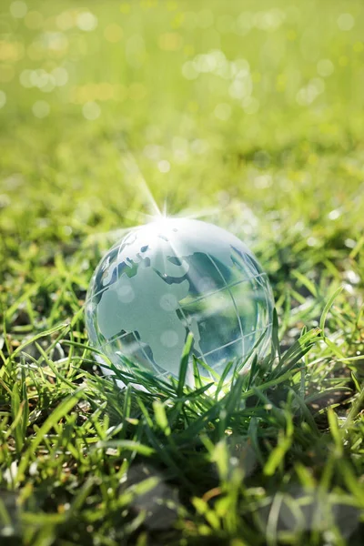 Een Afbeelding Van Een Glazen Bol Groen Gras — Stockfoto