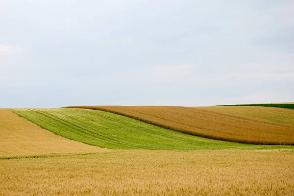 Landbouwlandschap Met Horizon Met Bewolkte Lucht Vroege Zomer Zomers — Stockfoto