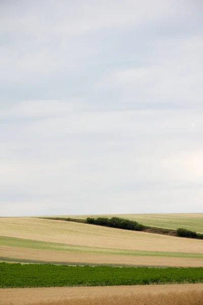 Αγροτεμάχιο Τοπίο Ορίζοντα Συννεφιασμένο Ουρανό Στις Αρχές Του Καλοκαιριού Την — Φωτογραφία Αρχείου