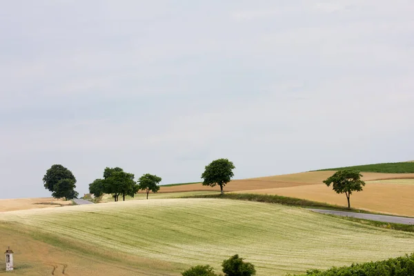 Heuvelachtige Landbouwgrond Kruising Van Een Weg Bewolkte Lucht Het Begin — Stockfoto