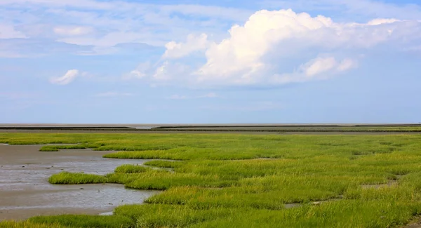 Land Reclamation North Sea Coast Royalty Free Stock Photos