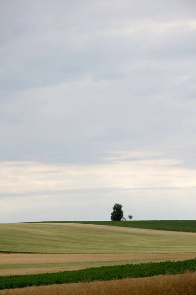 Pagórkowaty Teren Uprawny Marterlem Drzewami Horyzoncie Zachmurzonym Niebie Wczesnym Latem — Zdjęcie stockowe