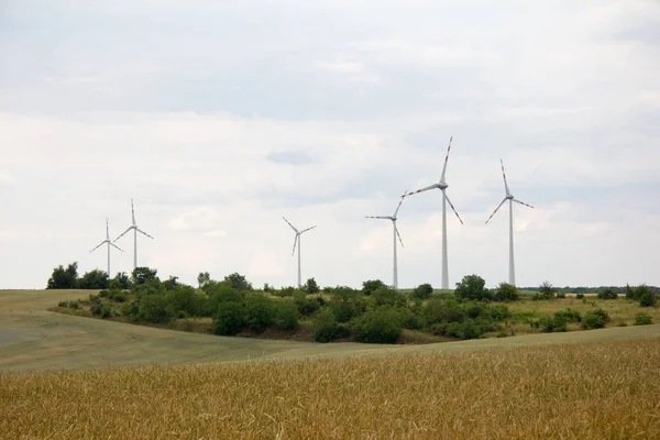 初夏の曇りの空を背景に風力発電機や木のある穀物畑 — ストック写真