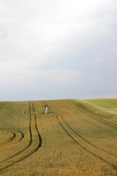 Cornfield Winding Lanes Marterl Cloudy Sky Early Summer Day — ストック写真