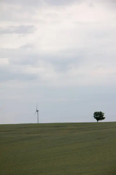 Weites Maisfeld Mit Windmühle Und Baum Horizont Bei Bewölktem Himmel — Stockfoto