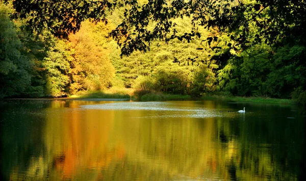 Valle Del Gelpe Solingen Autunno — Foto Stock