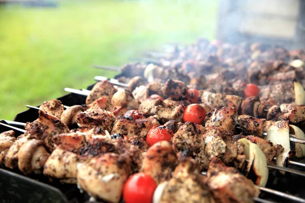 Immagine Barbecue — Foto Stock