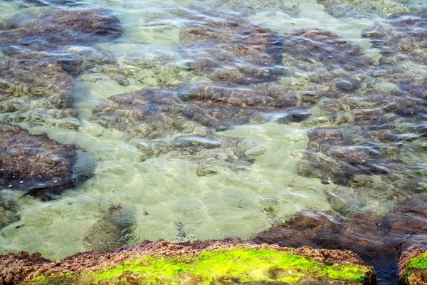 Rotsen Helder Zeewater — Stockfoto