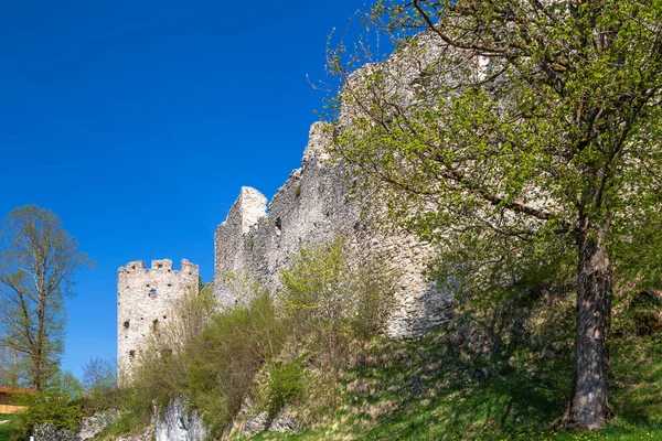 壮大な中世の城建築の景観 — ストック写真