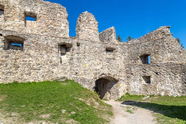 Görkemli Ortaçağ Kale Mimarisinin Manzarası — Stok fotoğraf