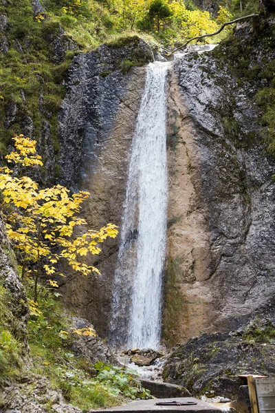 Venkovský Život Selektivní Zaměření — Stock fotografie