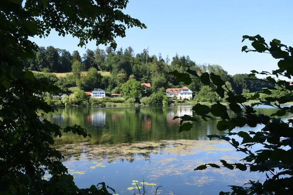 Jezioro Klasztorne Sedan Seebruck Chiemsee Jezioro Lilie Wodne Wzgórza Ścieżka — Zdjęcie stockowe