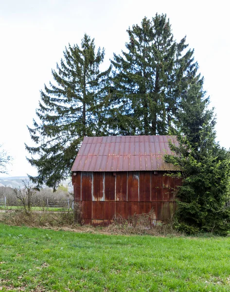 Venkovský Život Selektivní Zaměření — Stock fotografie