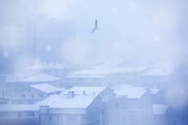 冬季城市的形象 — 图库照片
