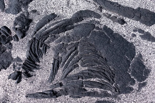 Черный Застывший Трикотаж Частично Покрытый Легким Песком Подробная Информация Записанная — стоковое фото