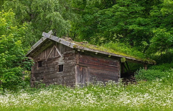 Old Hut Saint Gertraud Ultental Valley South Tyrol — Stock Photo, Image