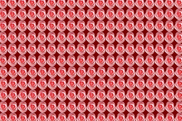 Kırmızı Arkaplanda Pembe Güllerin Arkaplan Çalışması — Stok fotoğraf
