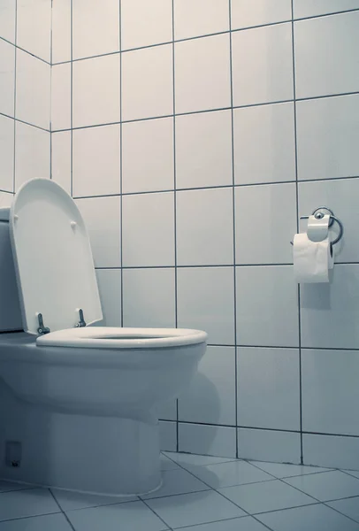 Ein Bild Der Toilette — Stockfoto