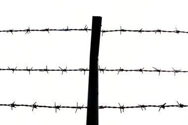 close up Barbed wire Fence and clear sky clipart