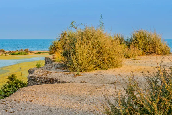 Doğal Park Almerya Endülüs Spanya Yolu Olan Deniz Manzarası — Stok fotoğraf