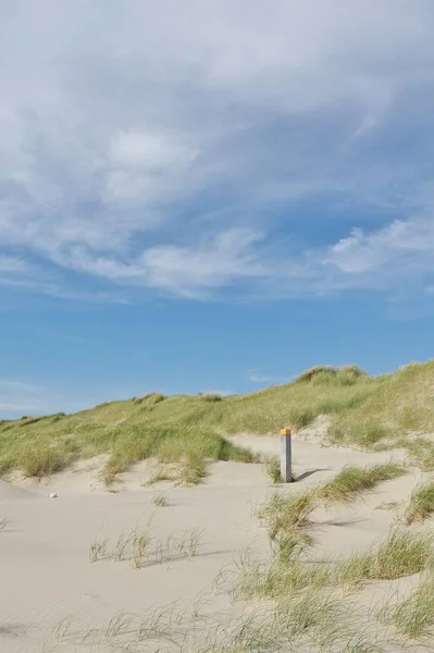 Het Duinreservaat Bergen Aan Zee Noord Holland — Stockfoto