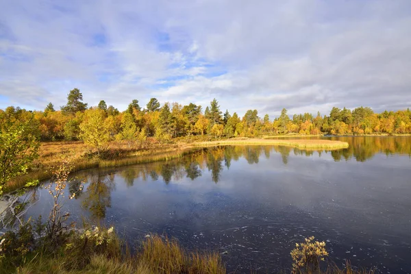 Rogen Nature Reserve Sweden — Stock Photo, Image