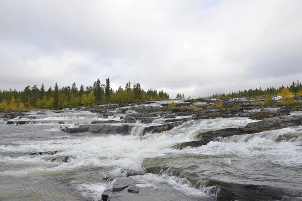 Trappstegsforsen Cascada Caída Agua Camino Natural Otoño — Foto de Stock