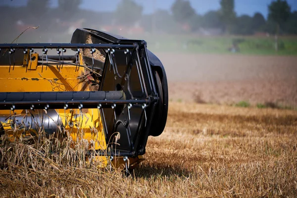 Harvester Working Wheat Field — Stock Photo, Image