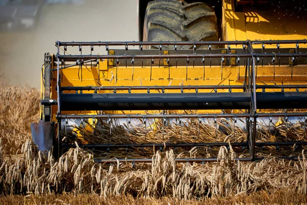 Харвестер Работает Пшеничном Поле — стоковое фото